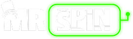 MrSpin logo